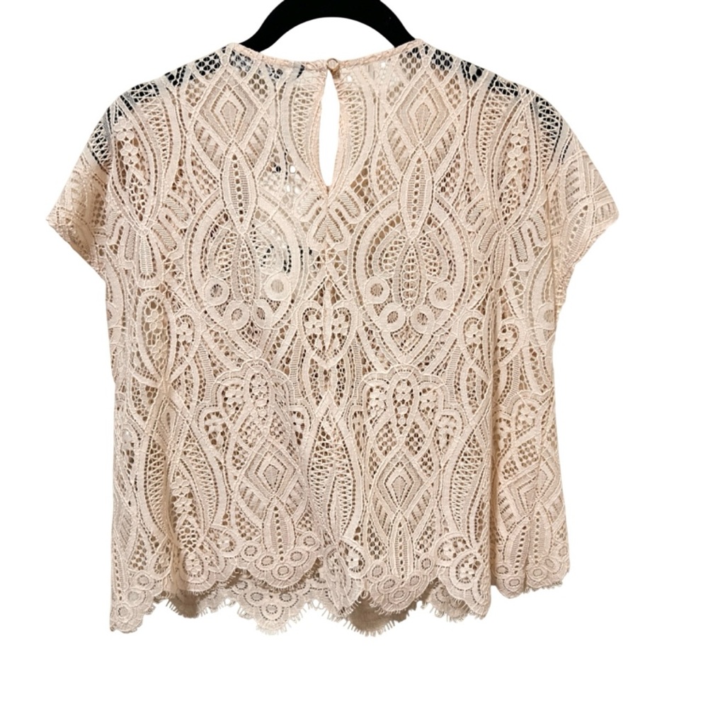NEW Zara Ruffle Lace Cream Top Large - Picture 5 of 6